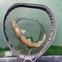 Westin W3 C&R Adjustable Landing Nets